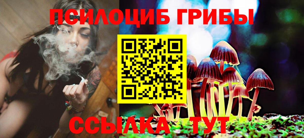 Галлюциногенные грибы Psilocybine cubensis Салехард